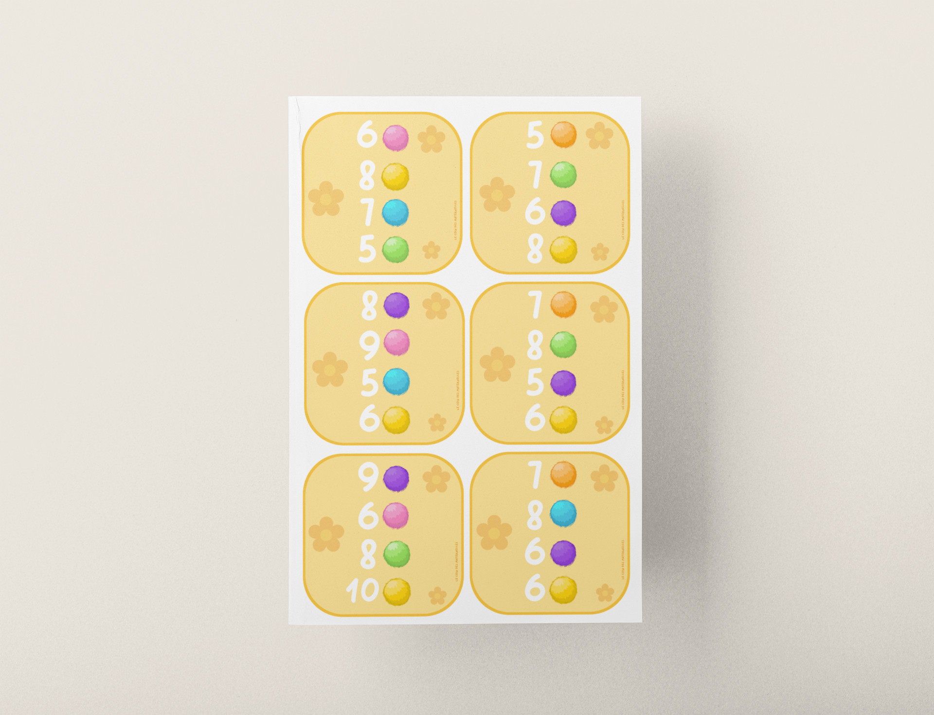 Mock Up Niveau 2 Pompon 1