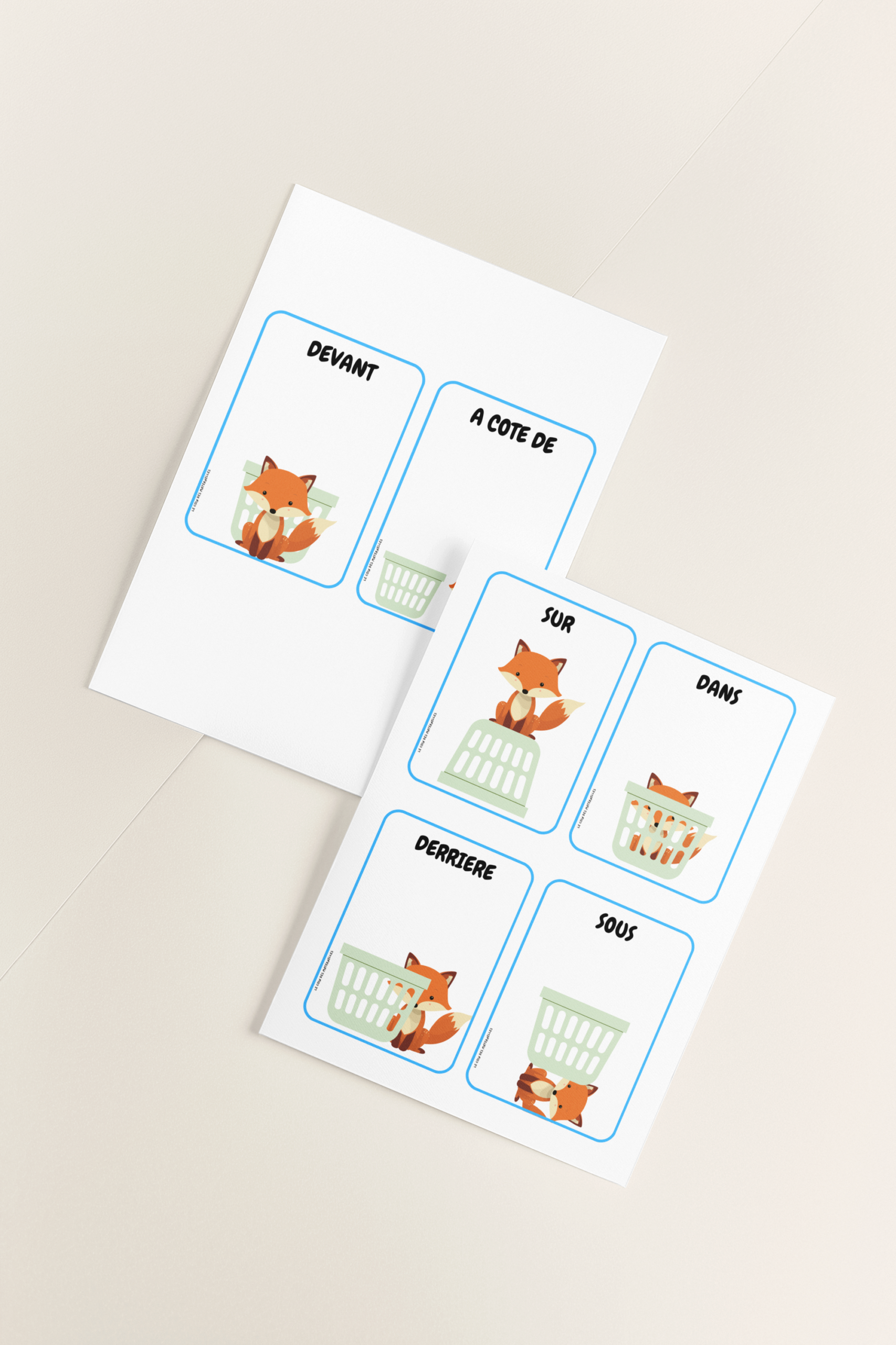 carte renard niveau petit