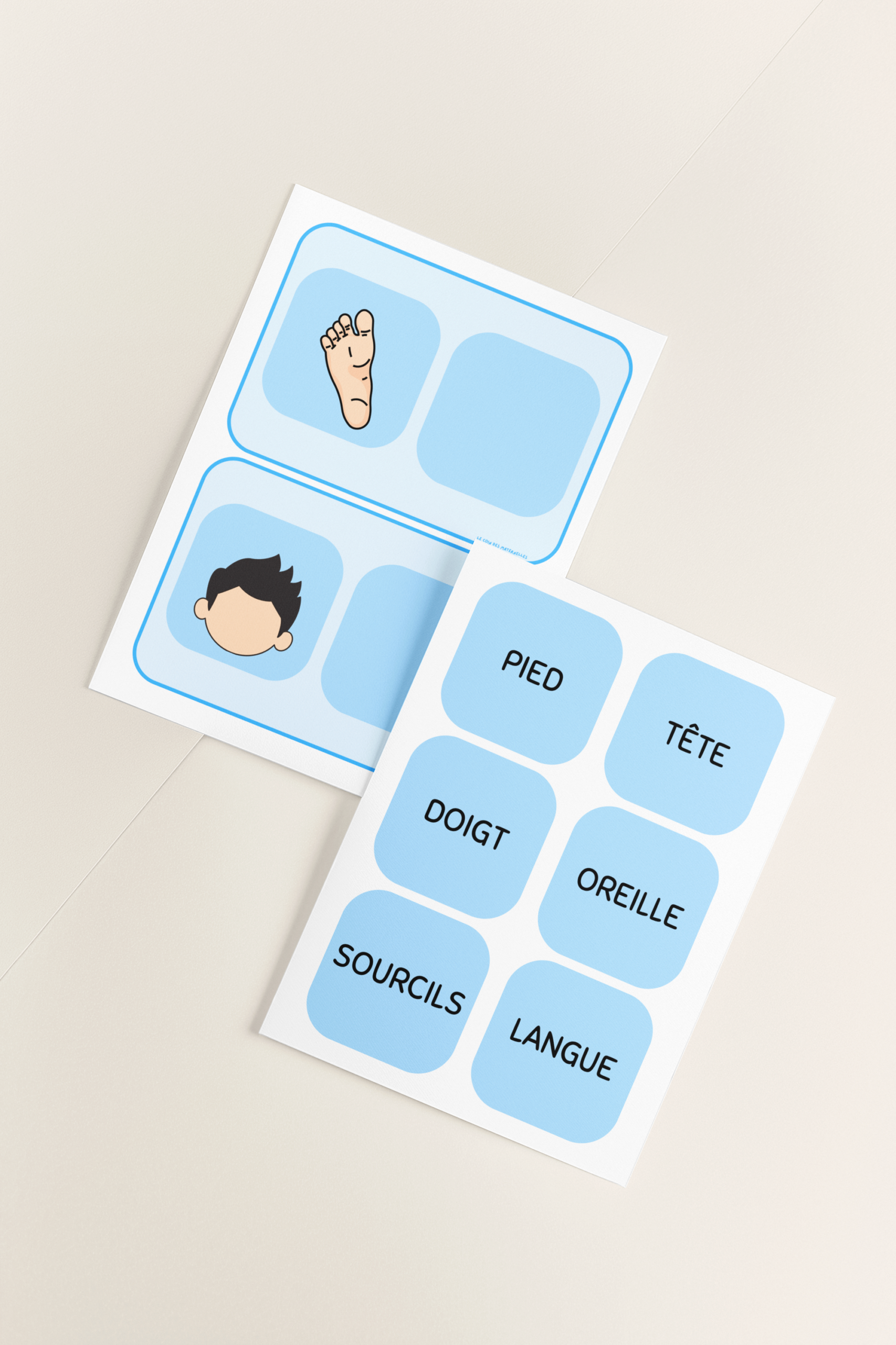 le corps humain tous mélangés