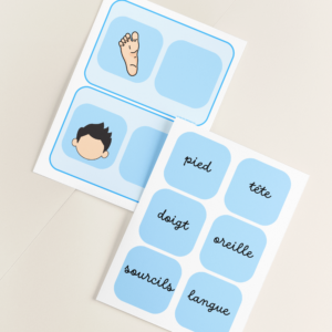 les parties du corps cursif