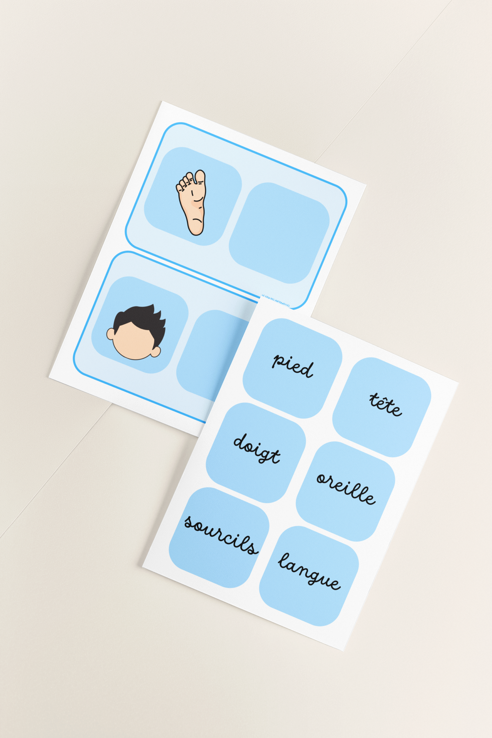 les parties du corps cursif