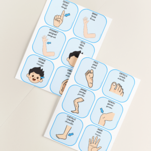 les parties du corps vocabulaire