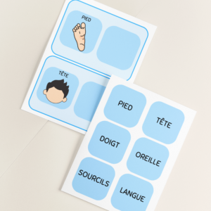 le corps humain tous mélangés