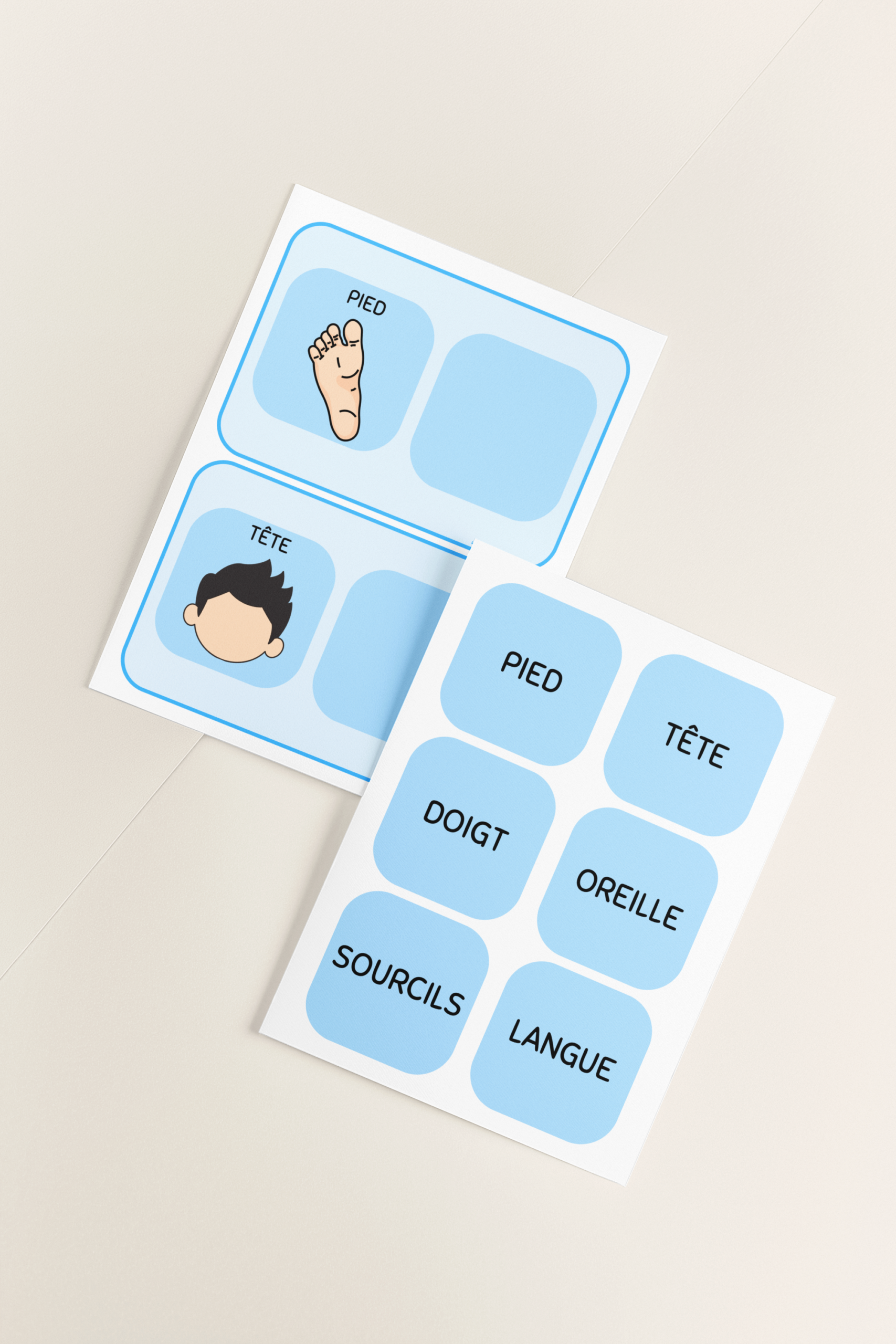 le corps humain tous mélangés