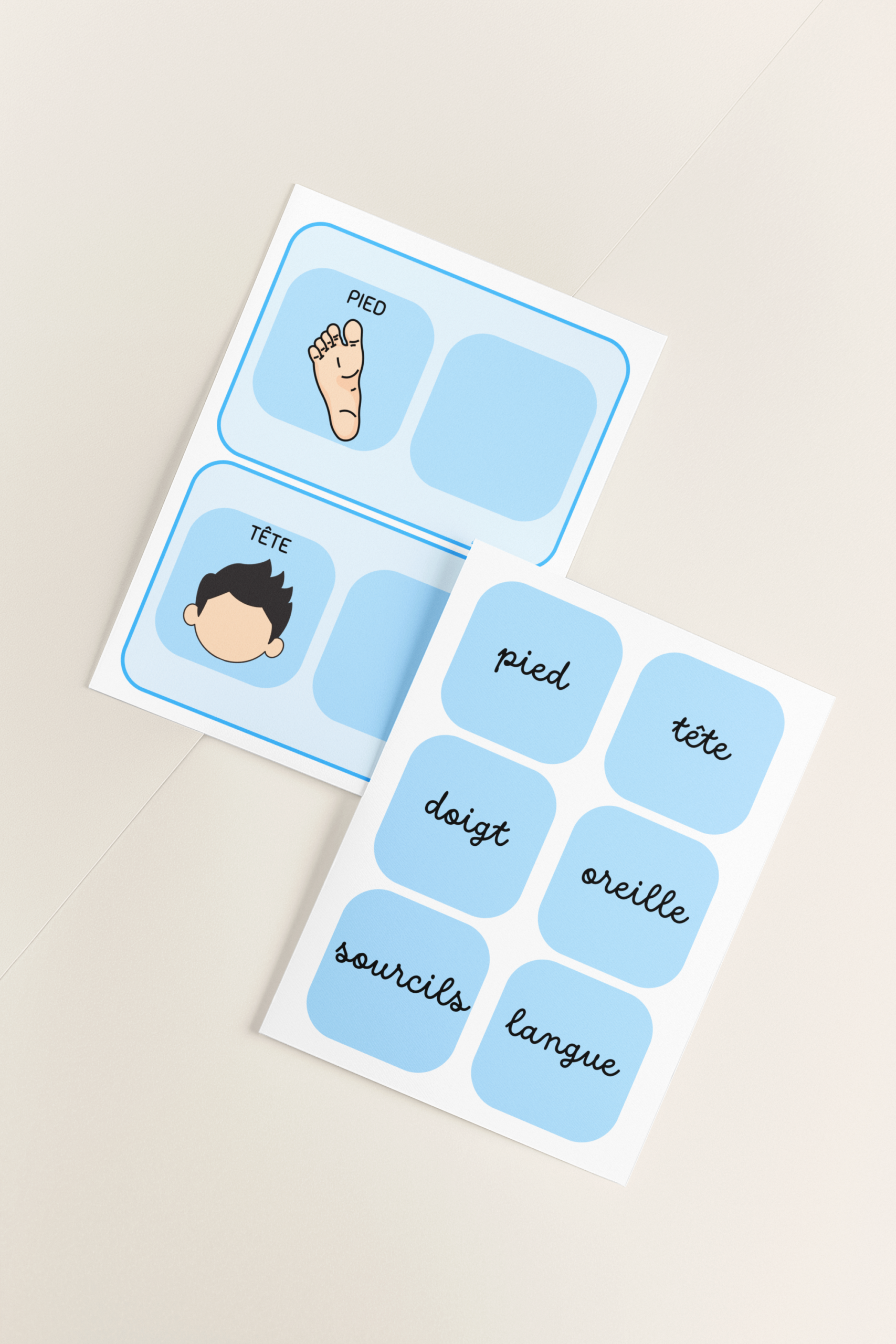 les parties du corps imprimé