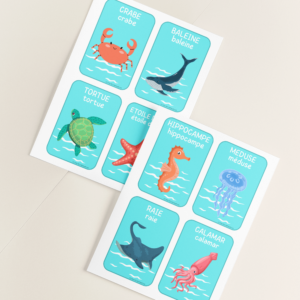 cartes vocabulaire marin