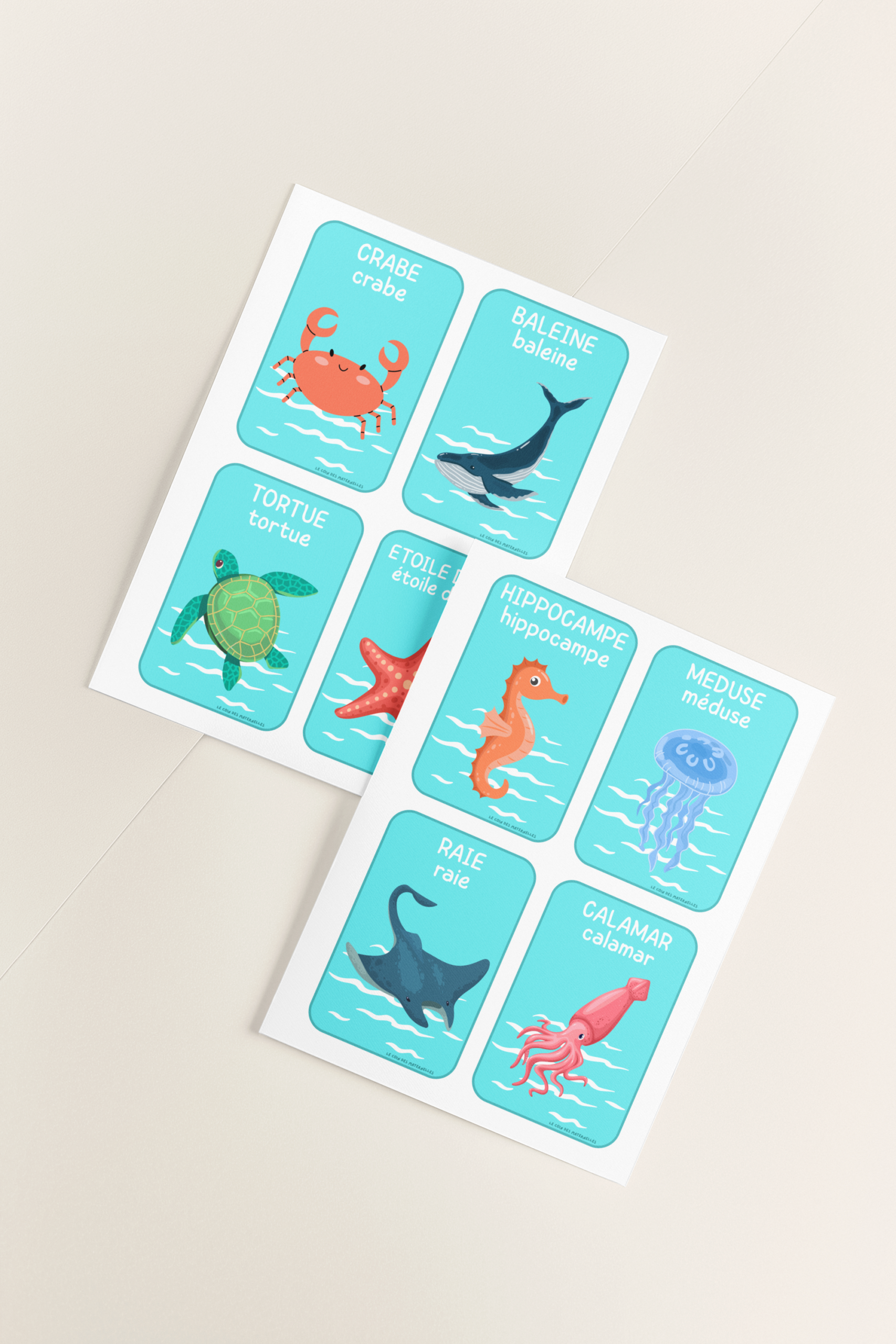 cartes vocabulaire marin