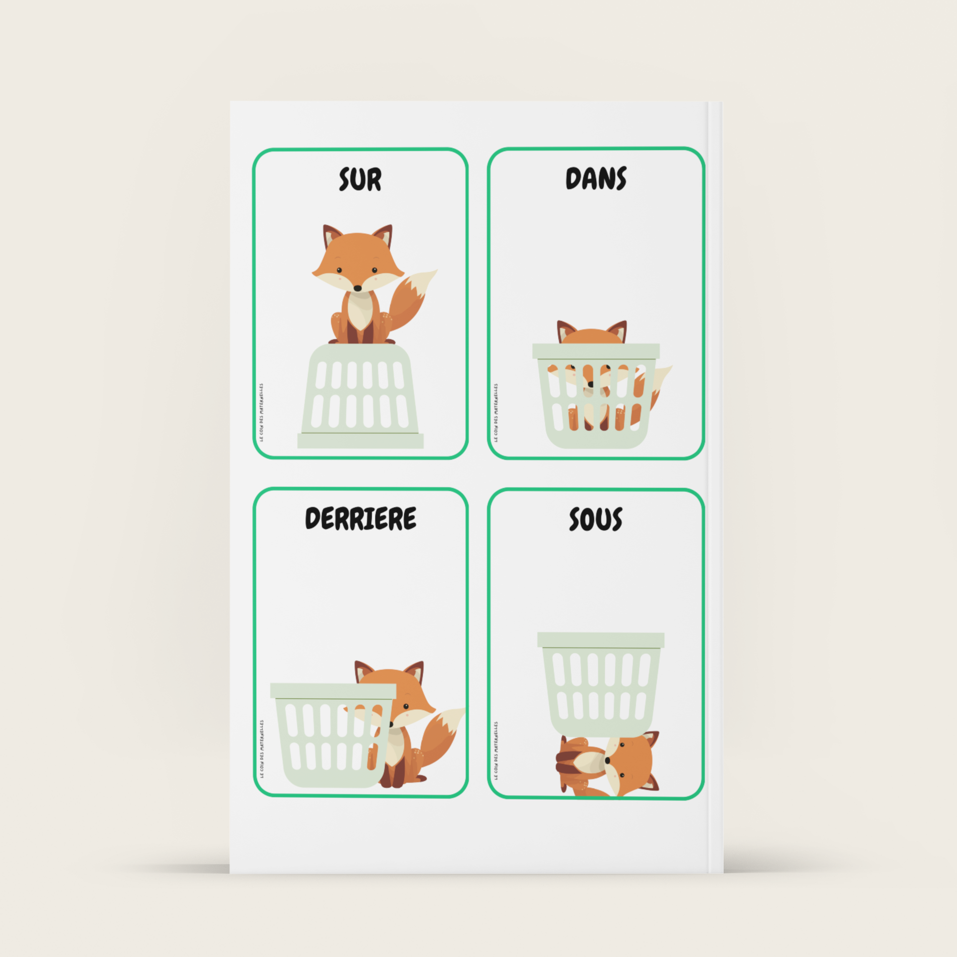 topologie cartes renard grand niveau