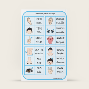 les parties du corps référentiel