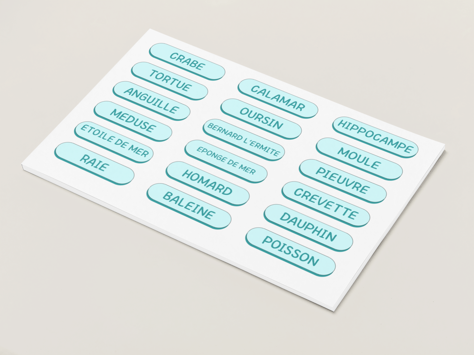 reconnaissance mots mer