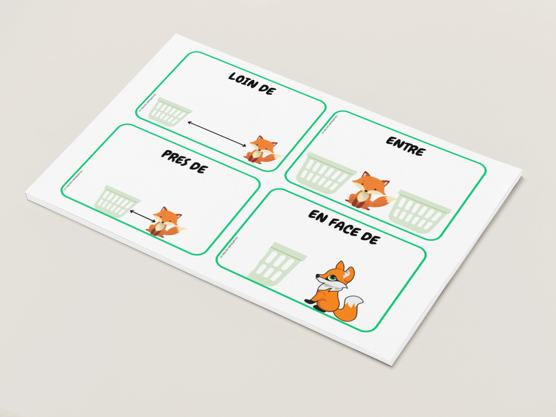 topologie cartes renard grand niveau