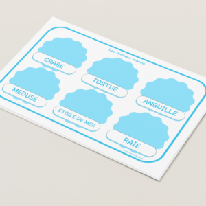 reconnaissance des mots, images à replacer : les animaux marins