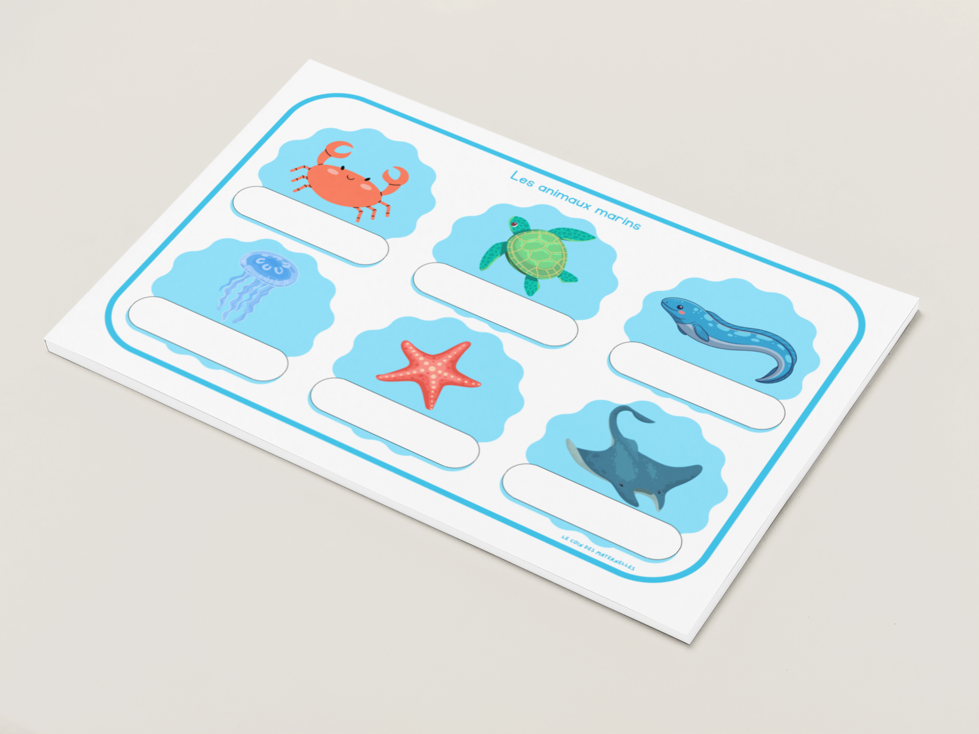 reconnaissance des mots, mots à replacer : les animaux marins