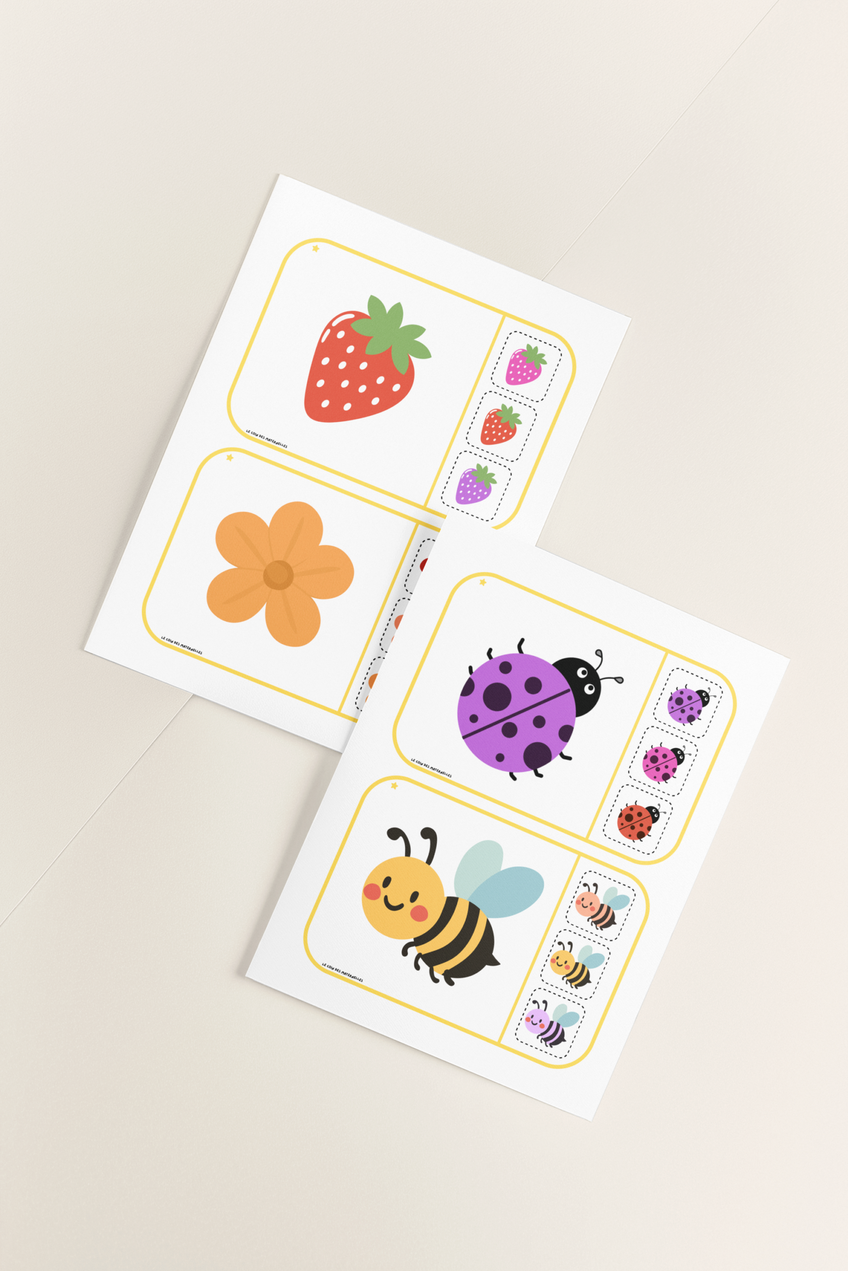 Discrimination visuelle cartes à choix printemps