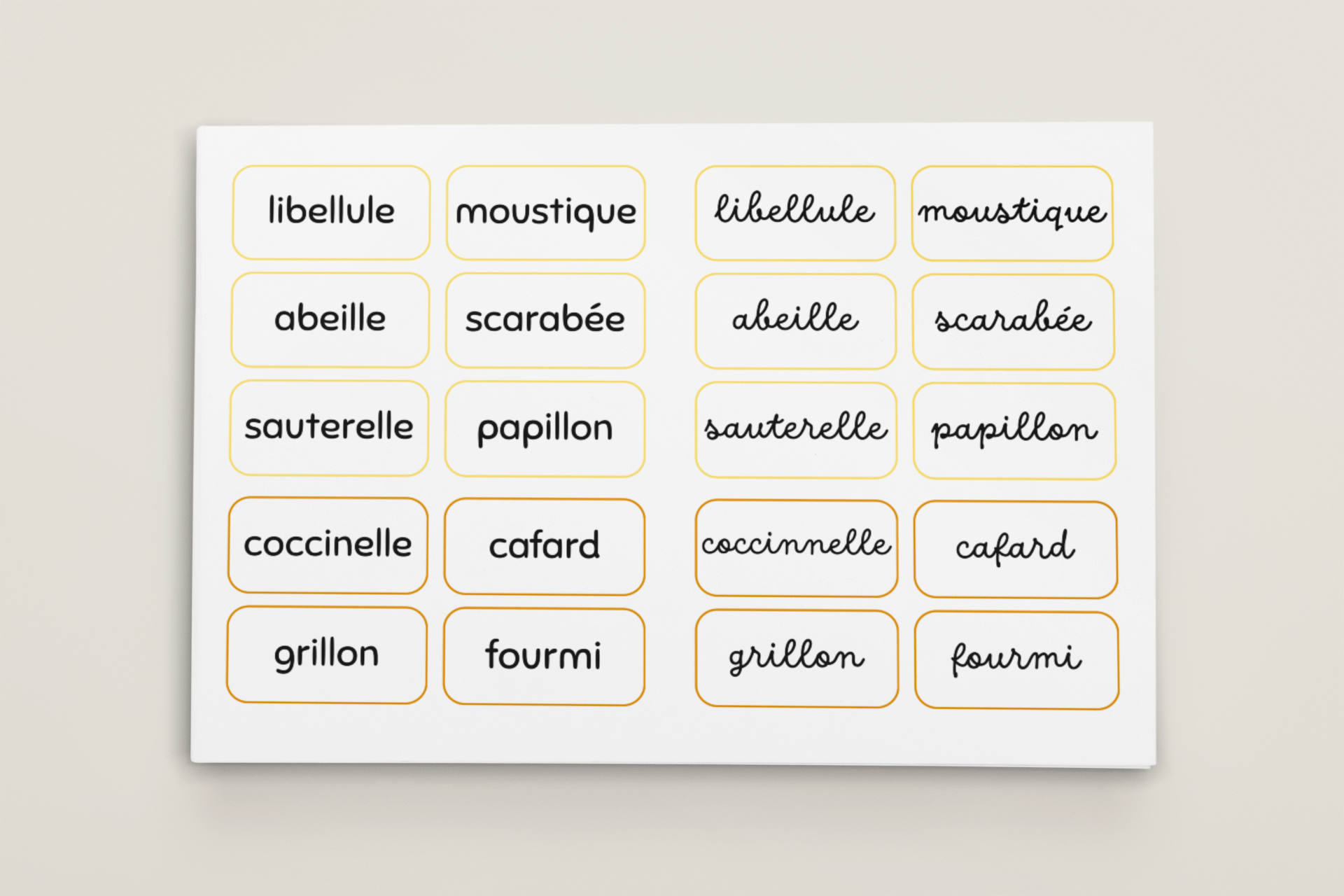 Noms insectes activités printemps maternelle